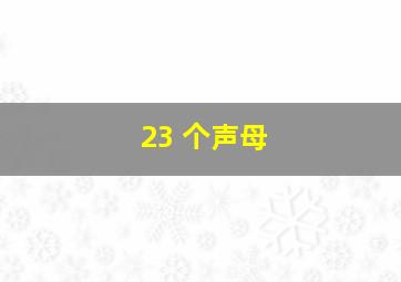 23 个声母